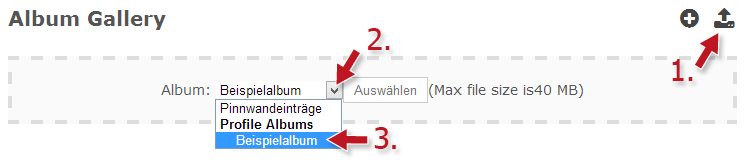 album-erstellen02